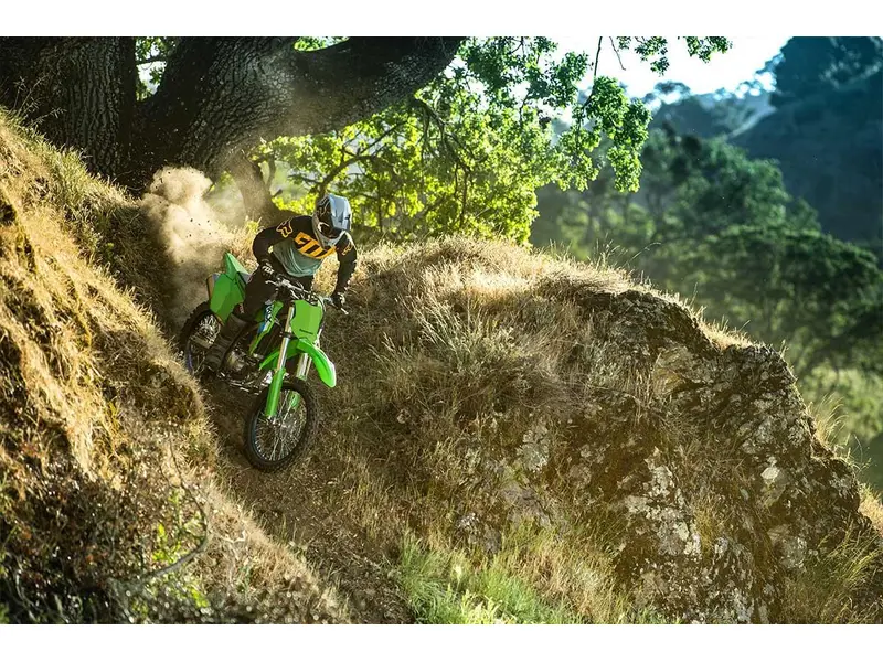 Kawasaki KLX300R 2027