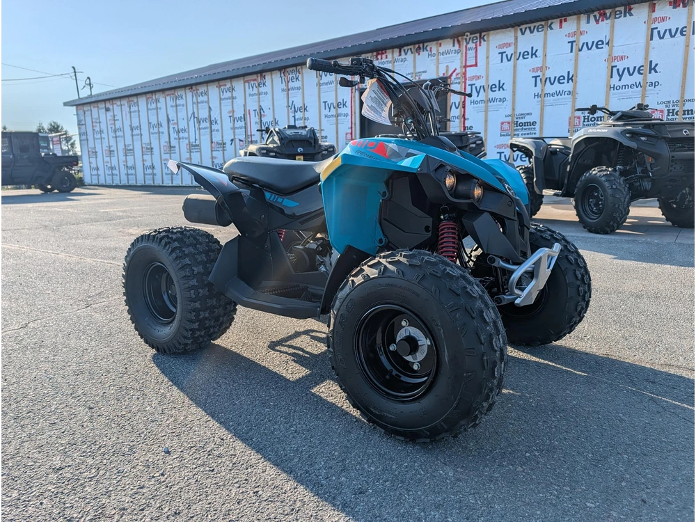 2026 Can-am Renegade 110 Efi alt
