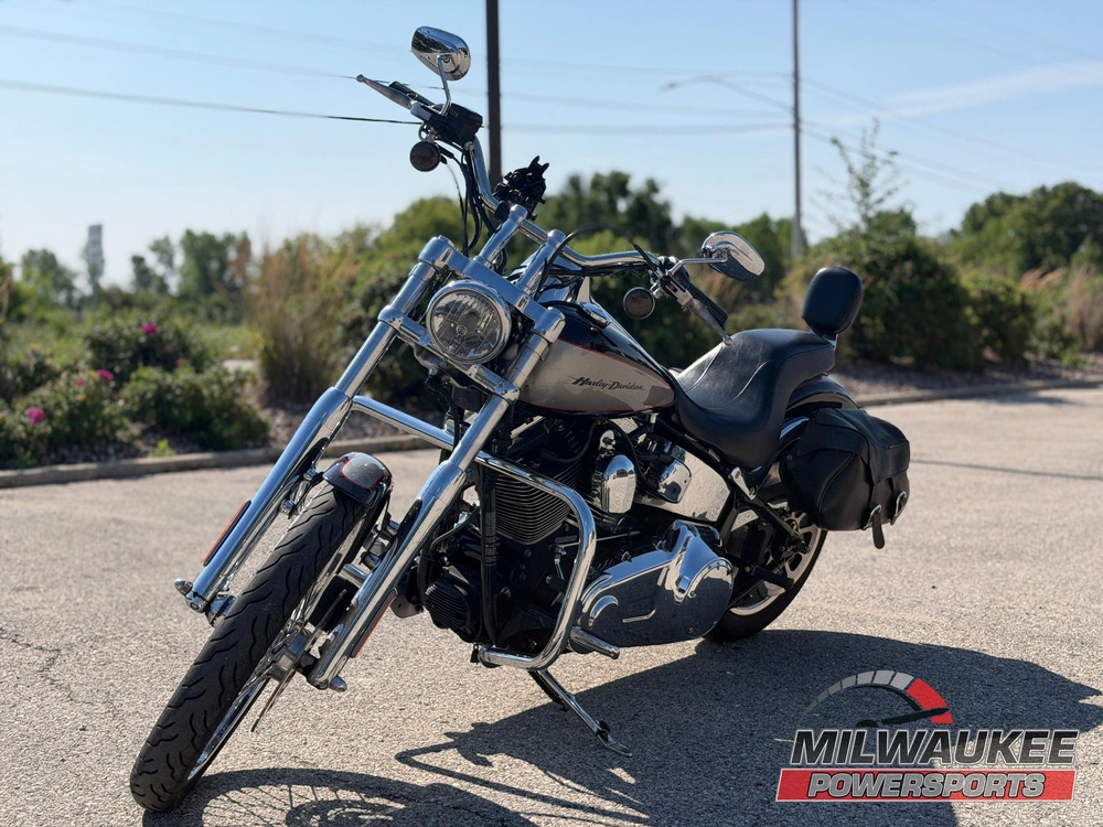 2007 Harley-davidson Fxstd alt