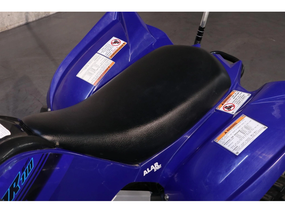 Yamaha Raptor 110 2025 alt