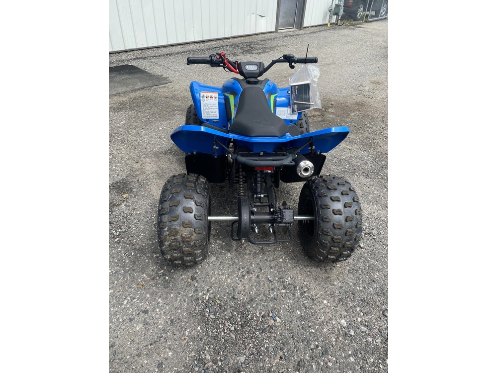 2026 Cfmoto Cforce 110 Classic alt