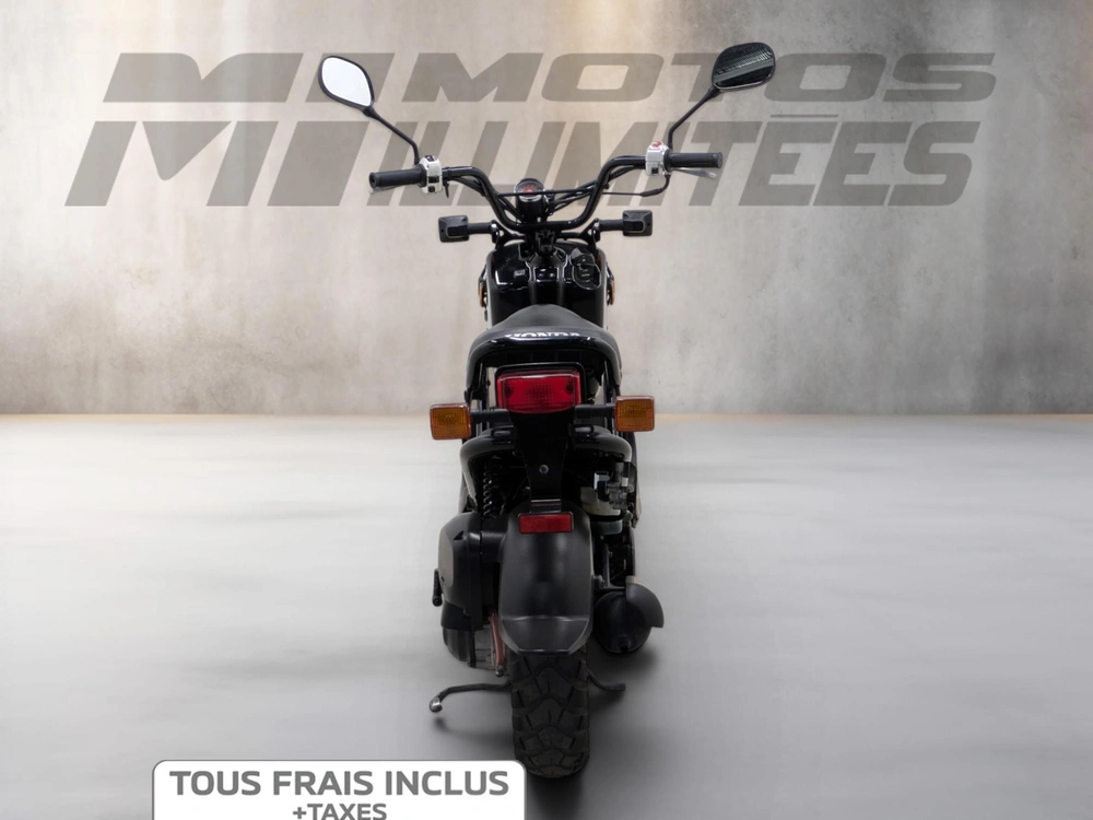 Honda Ruckus 2019 alt