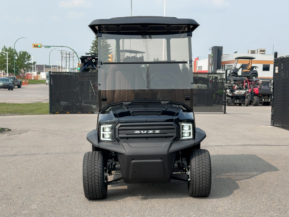 2026 Buzz G2 Standard alt