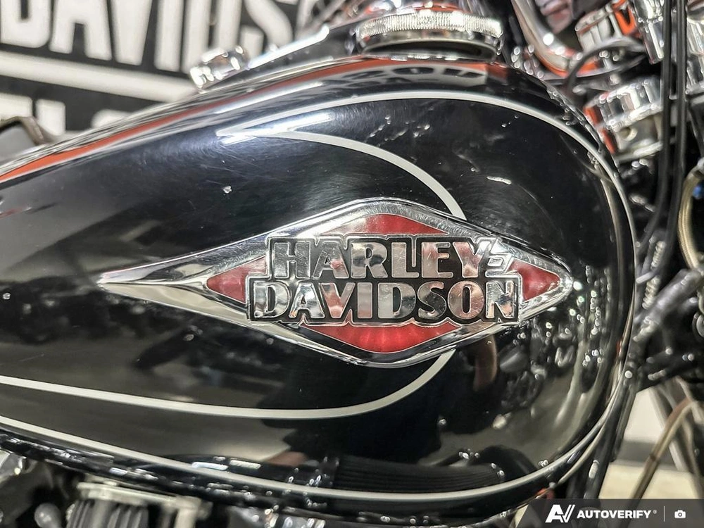 2009 Harley-davidson Flstc alt