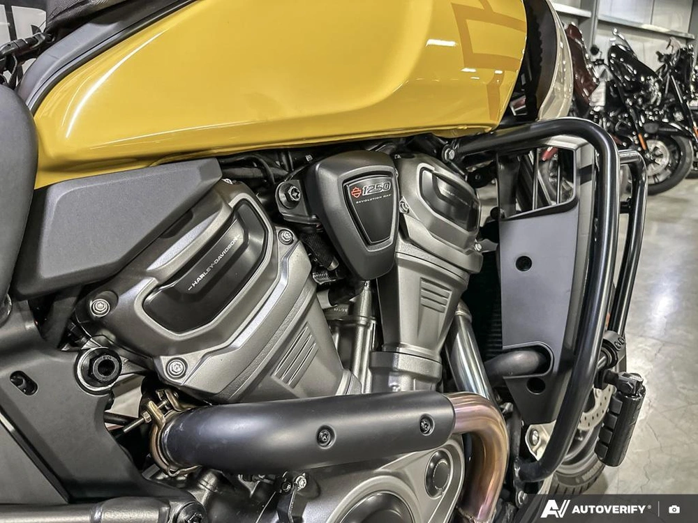 2023 Harley-davidson Pan America Special alt