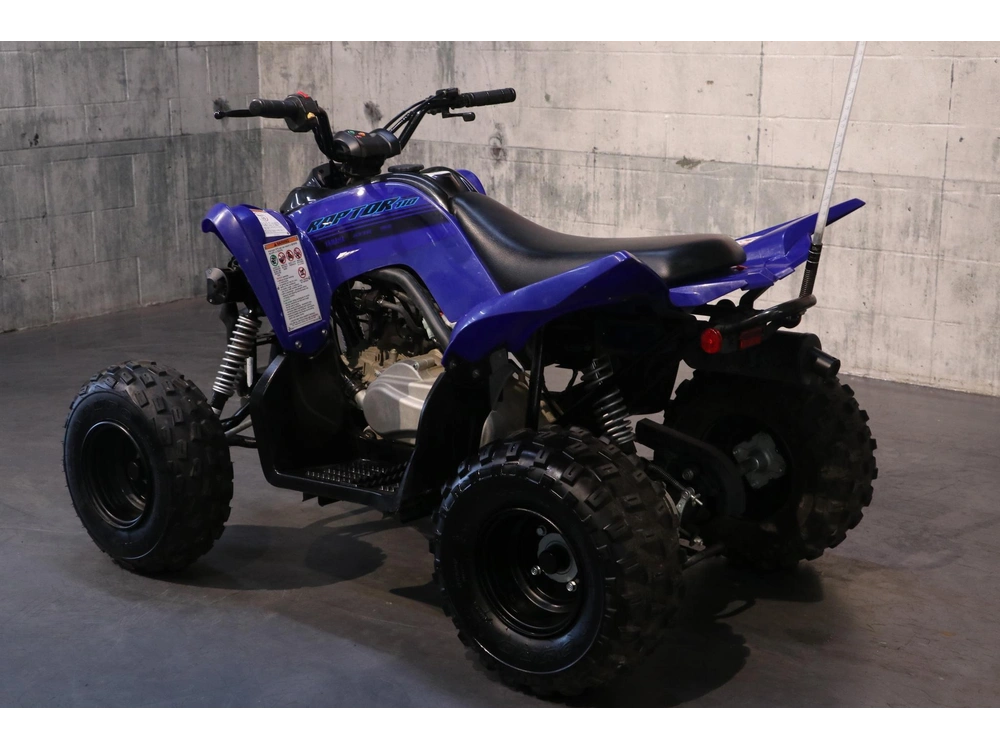 Yamaha Raptor 110 2025 alt