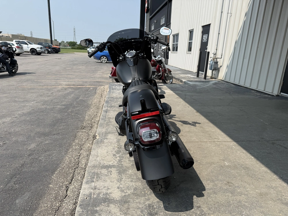 2026 Harley-davidson Flhd - Deadwood alt