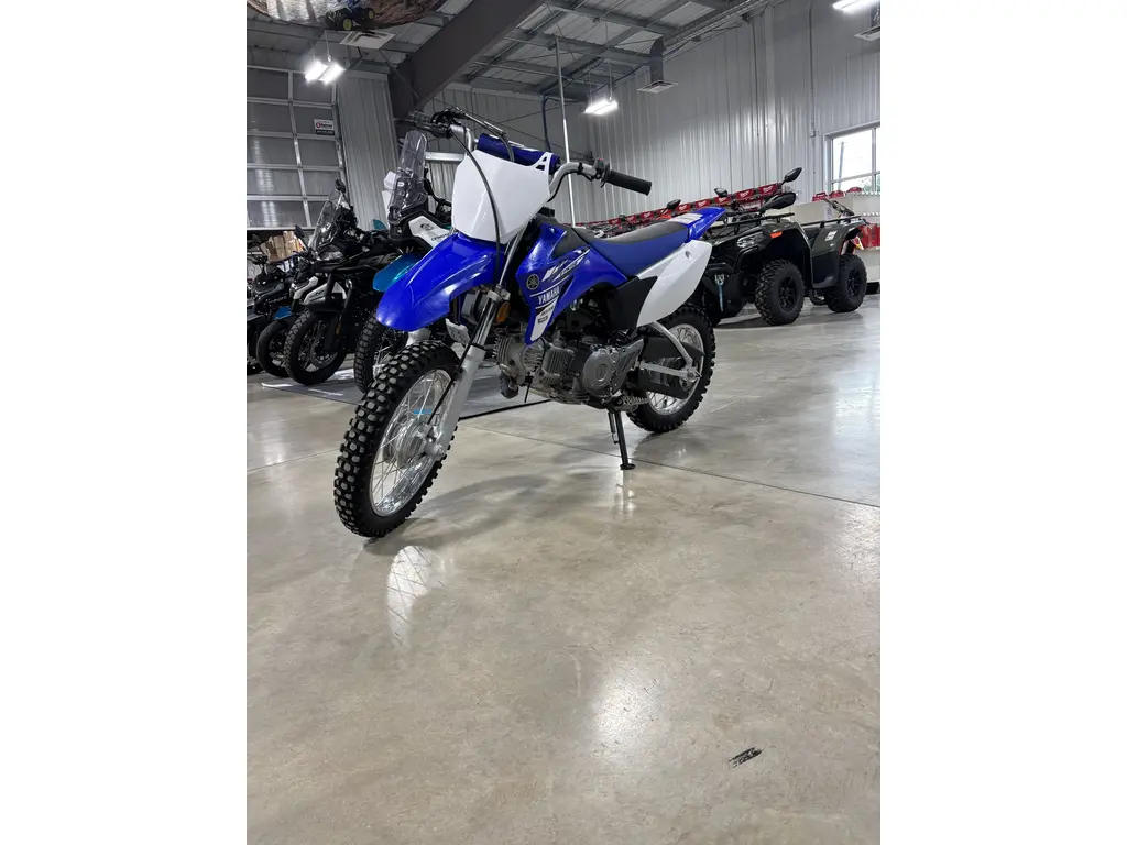 2017 Yamaha TT-R 110