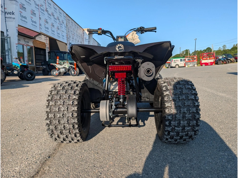 2026 Can-am Renegade 110 Efi alt