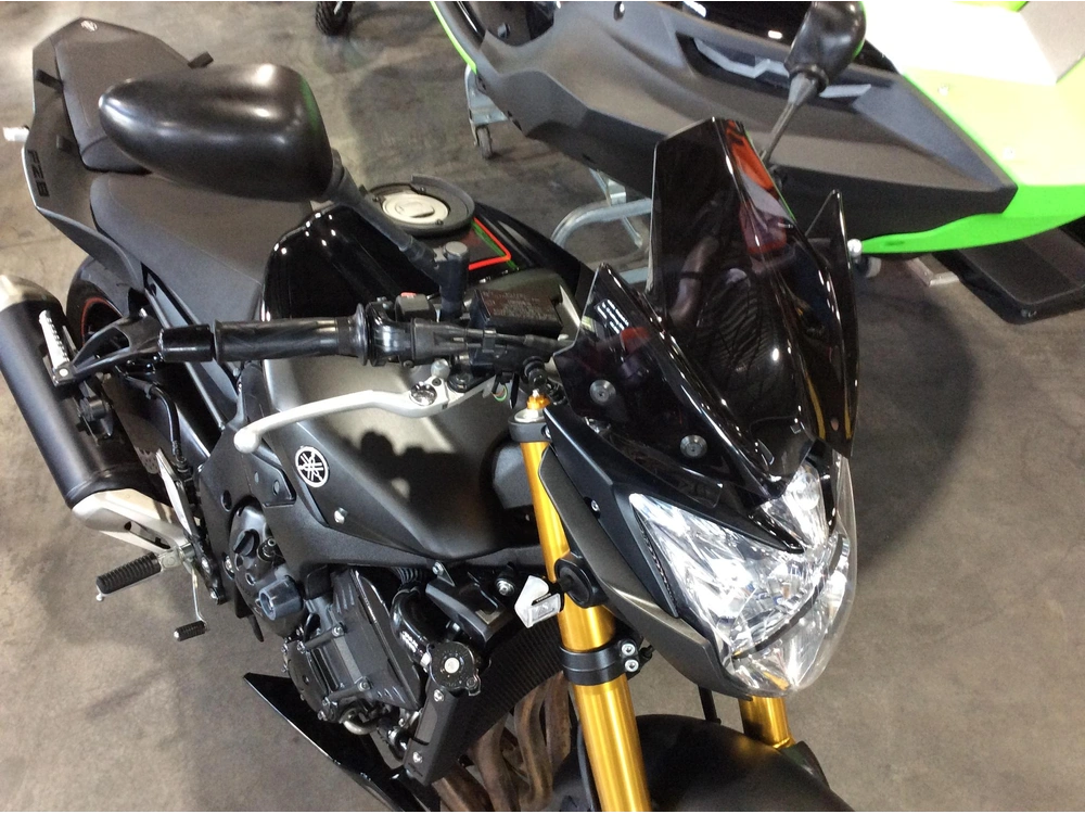 Yamaha Fz8 2013 alt