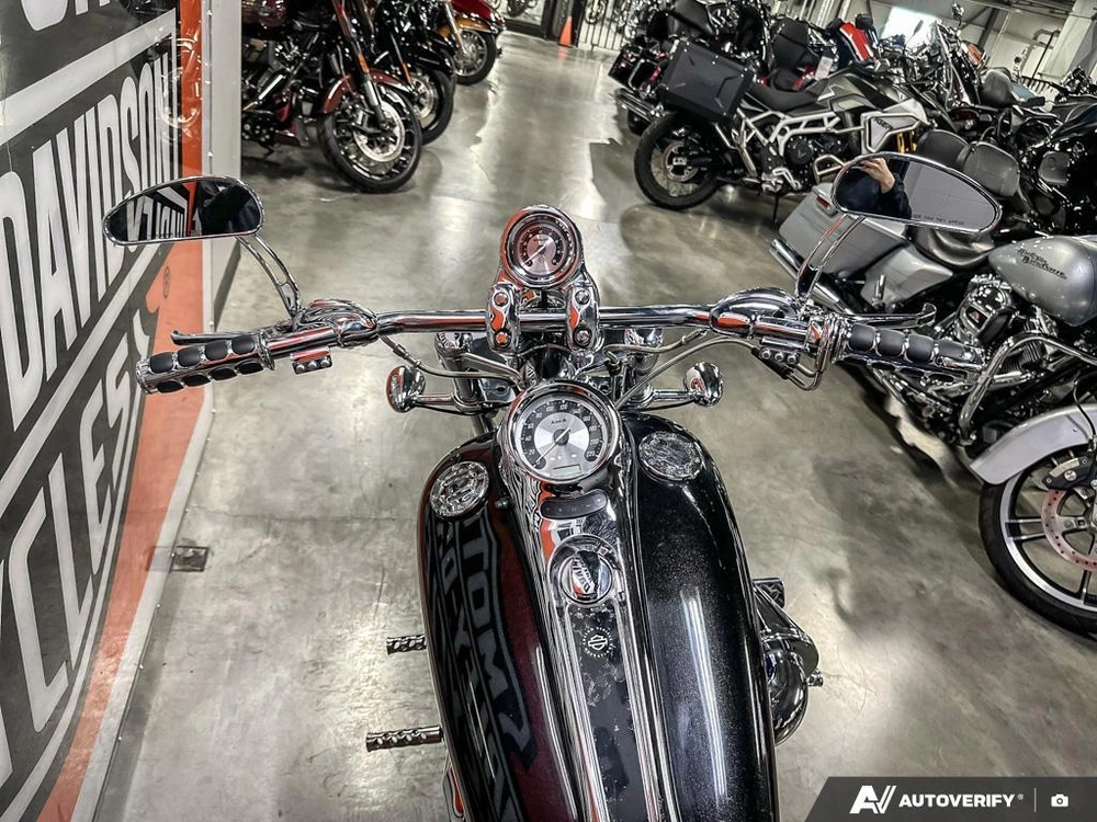 2004 Harley-davidson Flhxse2 alt