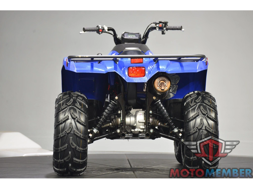 2024 Yamaha Kodiak 450 alt