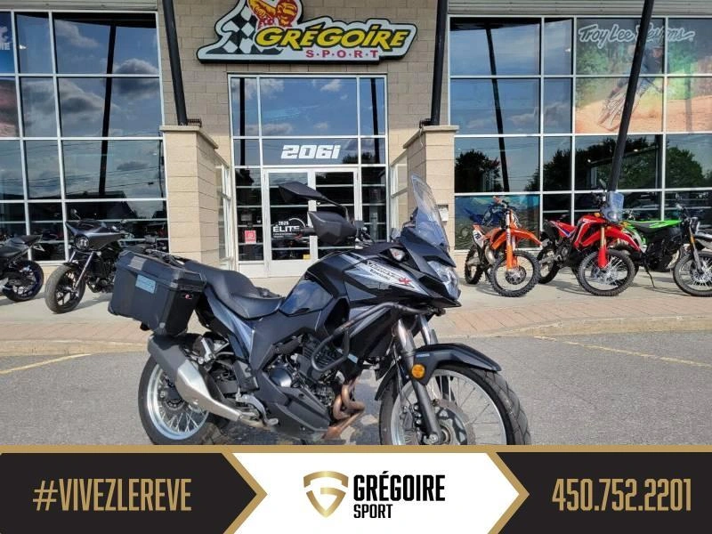 Kawasaki Versys X 2019 alt