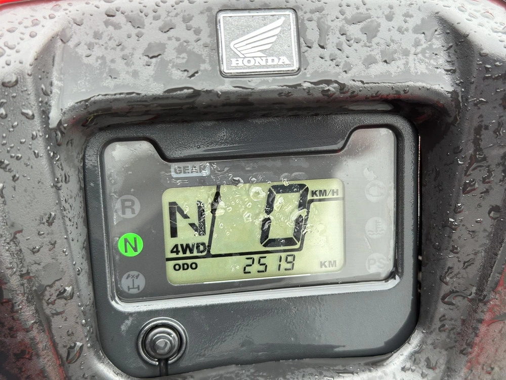2017 Honda Rubicon 500 Dct Irs Eps alt