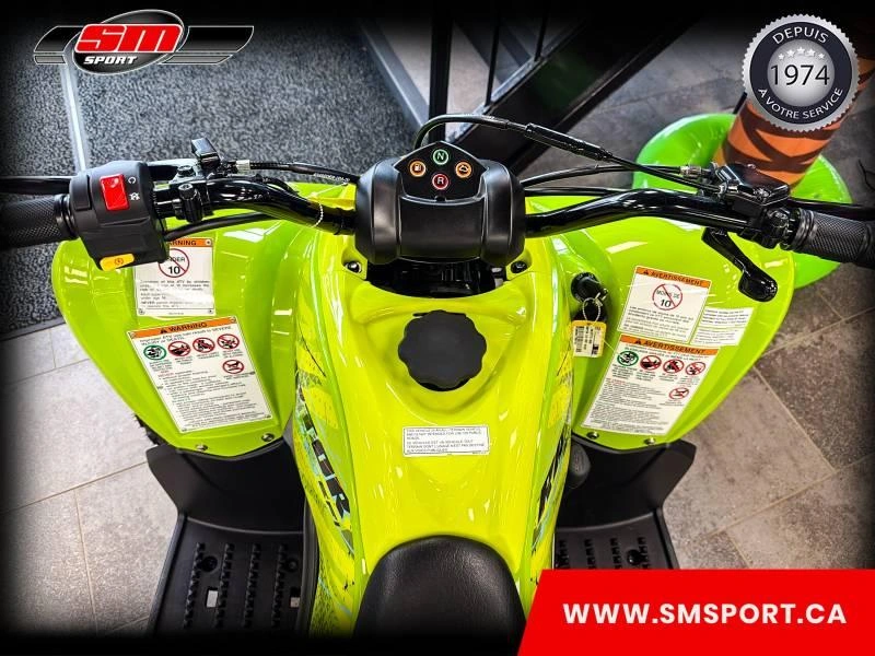 2026 Yamaha Raptor 110 alt