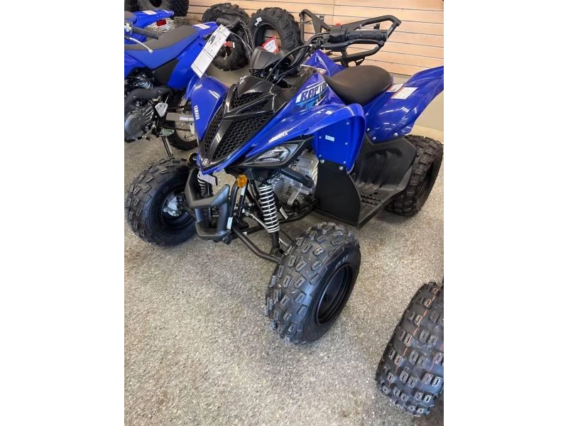 2026 Yamaha Raptor 110 alt