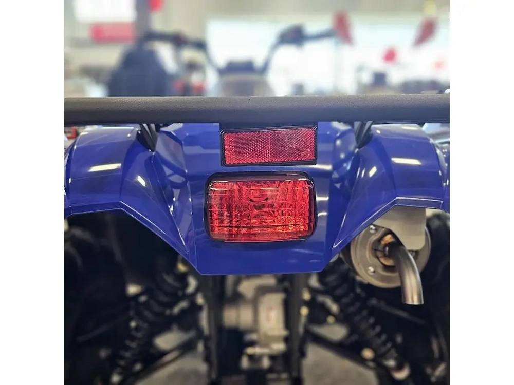 2026 Yamaha Kodiak 450 alt