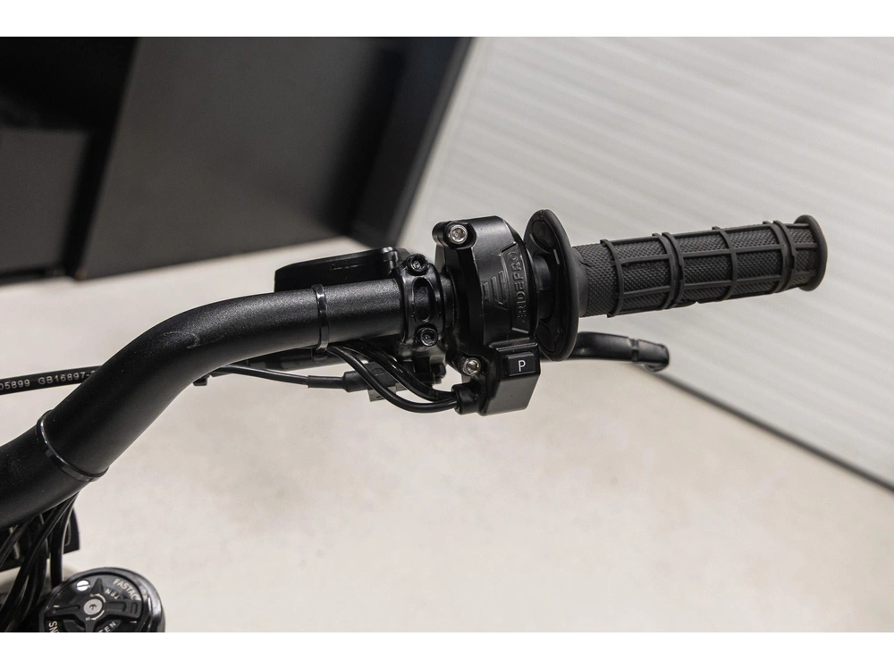 2026 Other E Ride Pro Sr alt