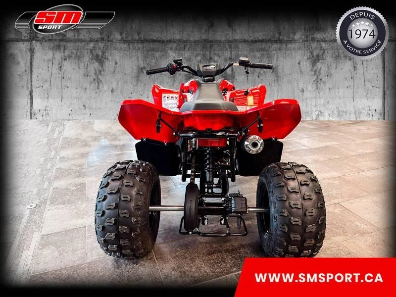 2026 Cfmoto Cforce 110 Classic alt
