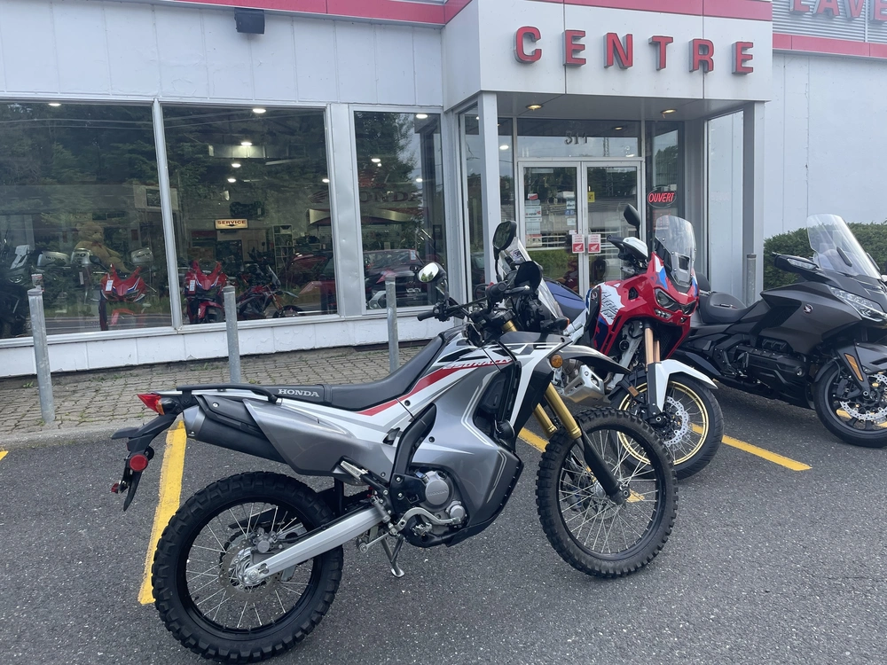 Honda Crf 250 Rlj Rally 2018 alt