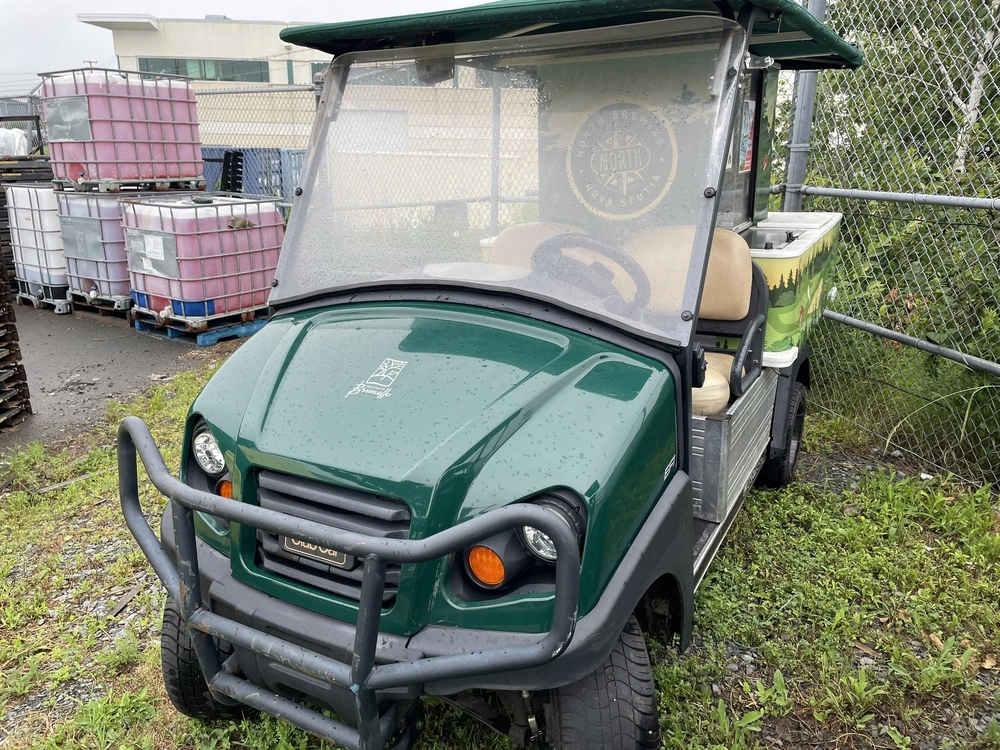 2015 Club Car Carry All Express alt