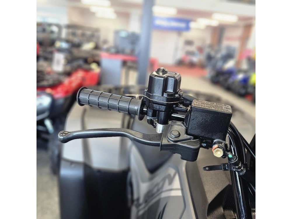 2026 Honda Fourtrax Foreman Rubicon Dct Eps Deluxe alt