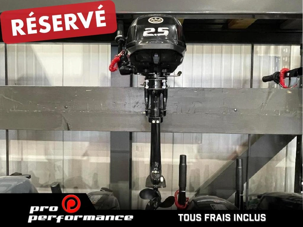 Suzuki Moteur Hors-bord Df2.5s 2022 alt