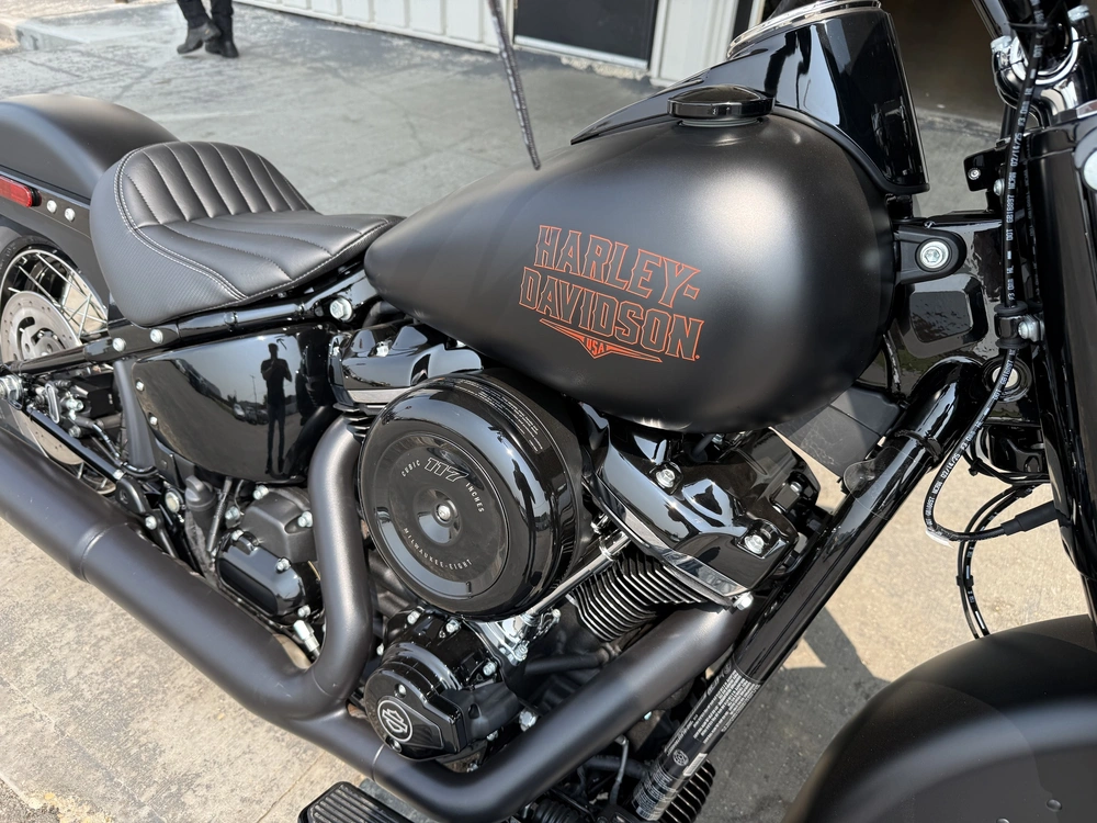 2026 Harley-davidson Flhd - Deadwood alt