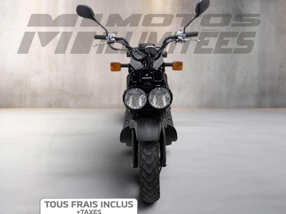 Honda Ruckus 2019 alt