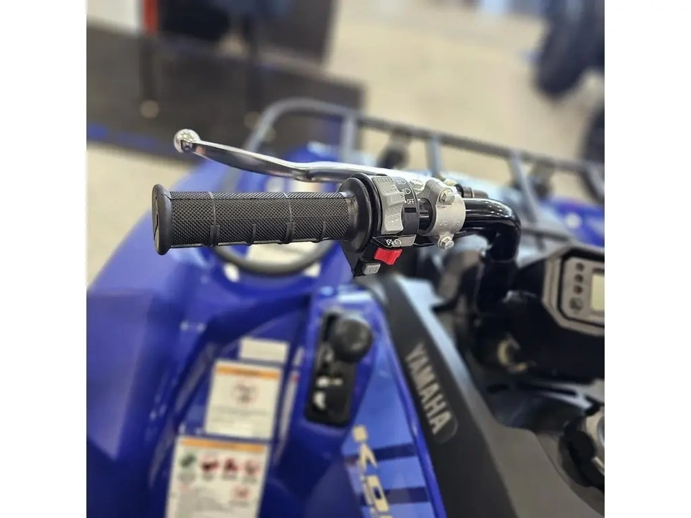 2026 Yamaha Kodiak 450 alt