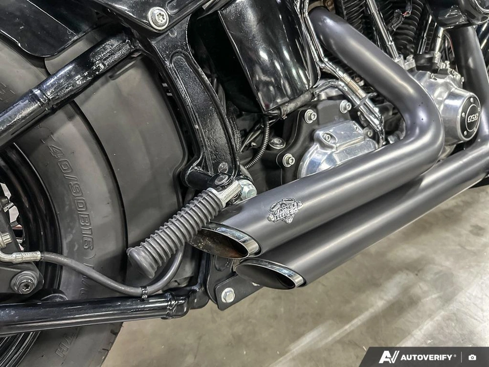 2013 Harley-davidson Slim alt