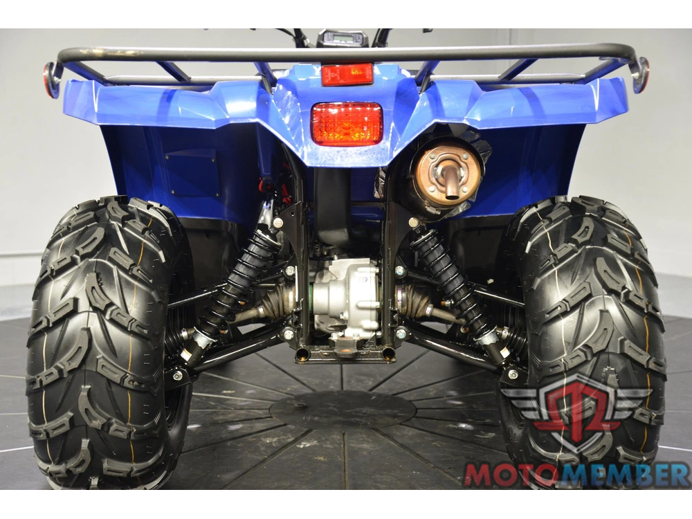 2024 Yamaha Kodiak 450 alt