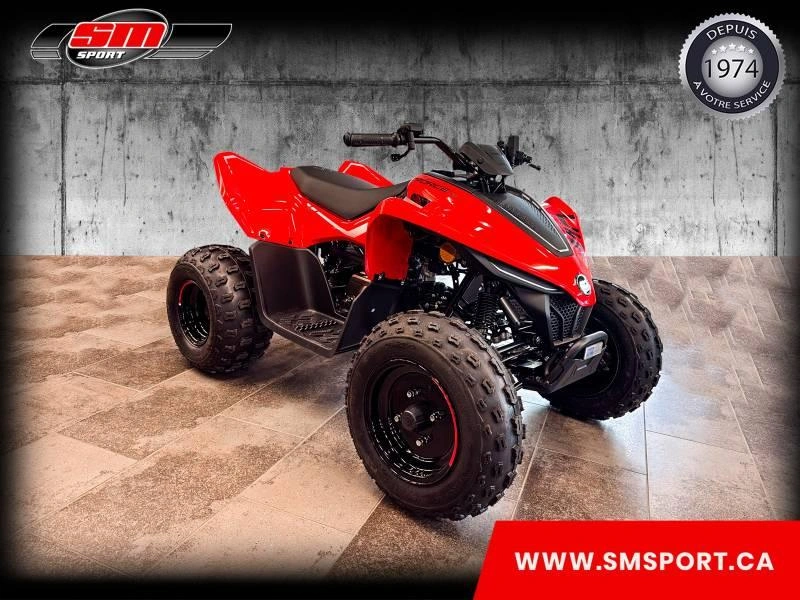 Cfmoto Cforce 110 Classic 2026 alt