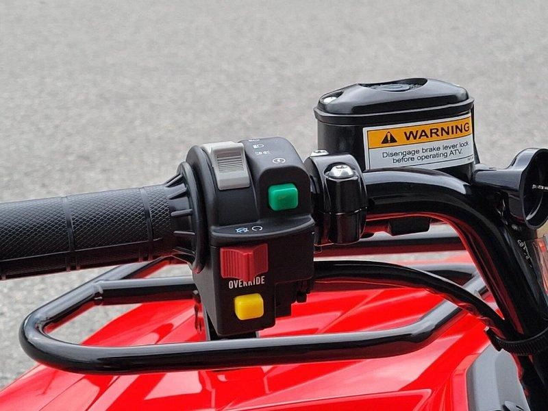 Arctic Cat Alterra 450 2026 alt