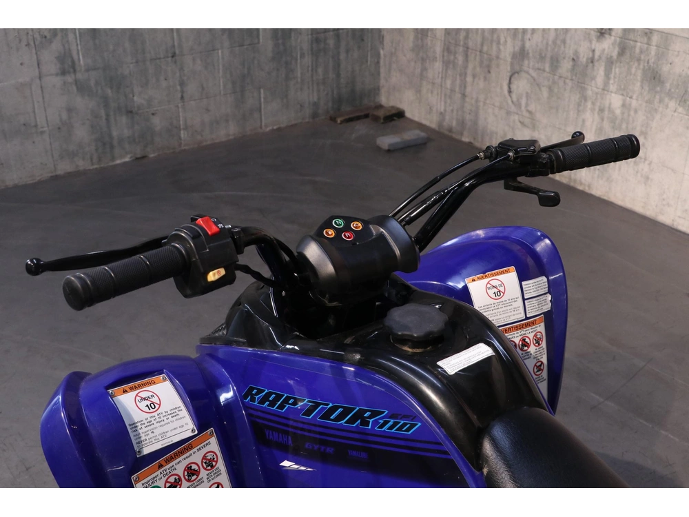 Yamaha Raptor 110 2025 alt