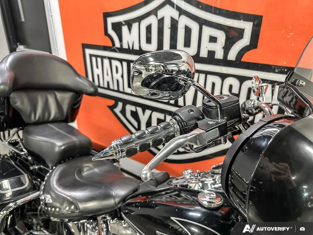 2009 Harley-davidson Flstc alt
