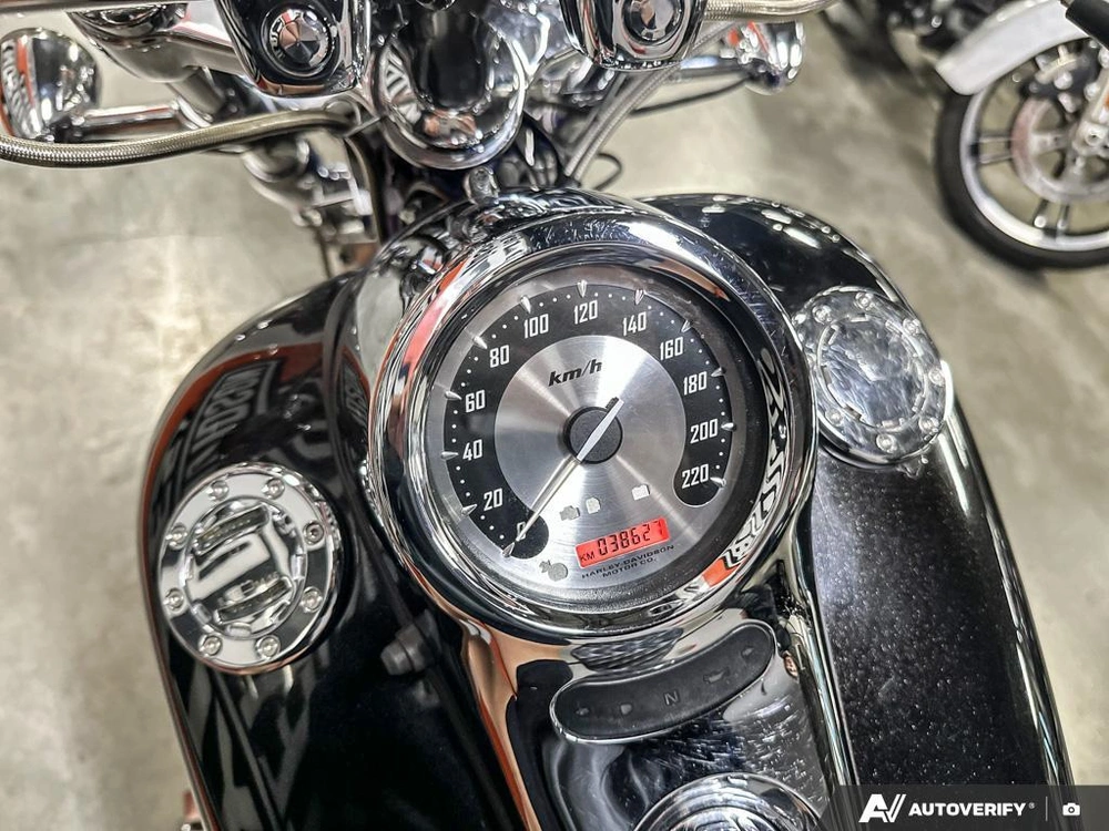2004 Harley-davidson Flhxse2 alt