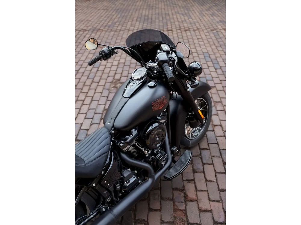 2026 Harley-davidson Flhd Deadwood alt