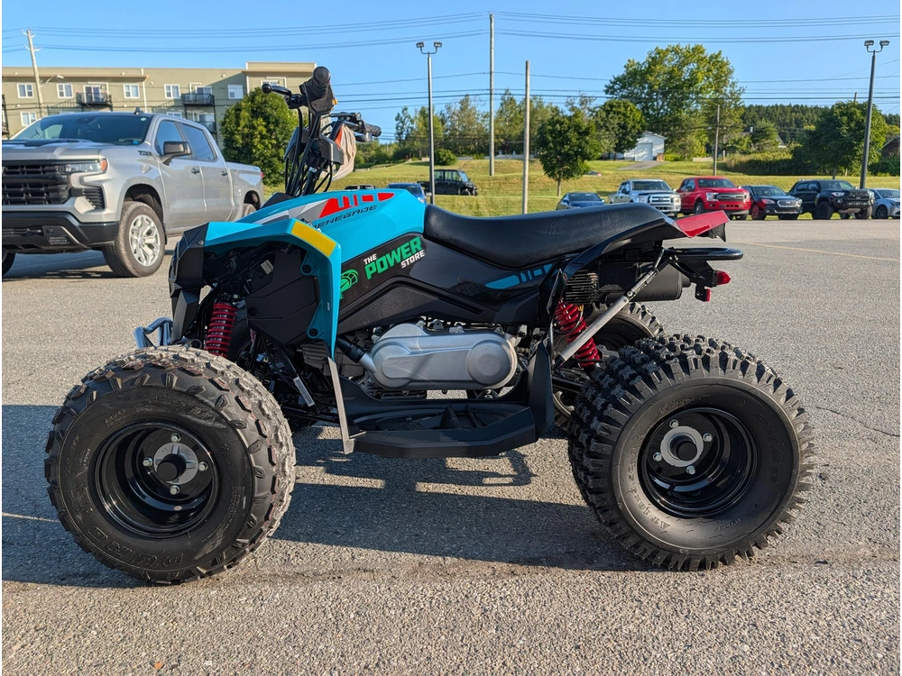2026 Can-am Renegade 110 Efi alt