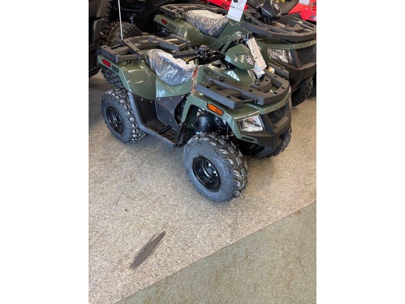 2026 Arctic Cat Alterra 90 alt