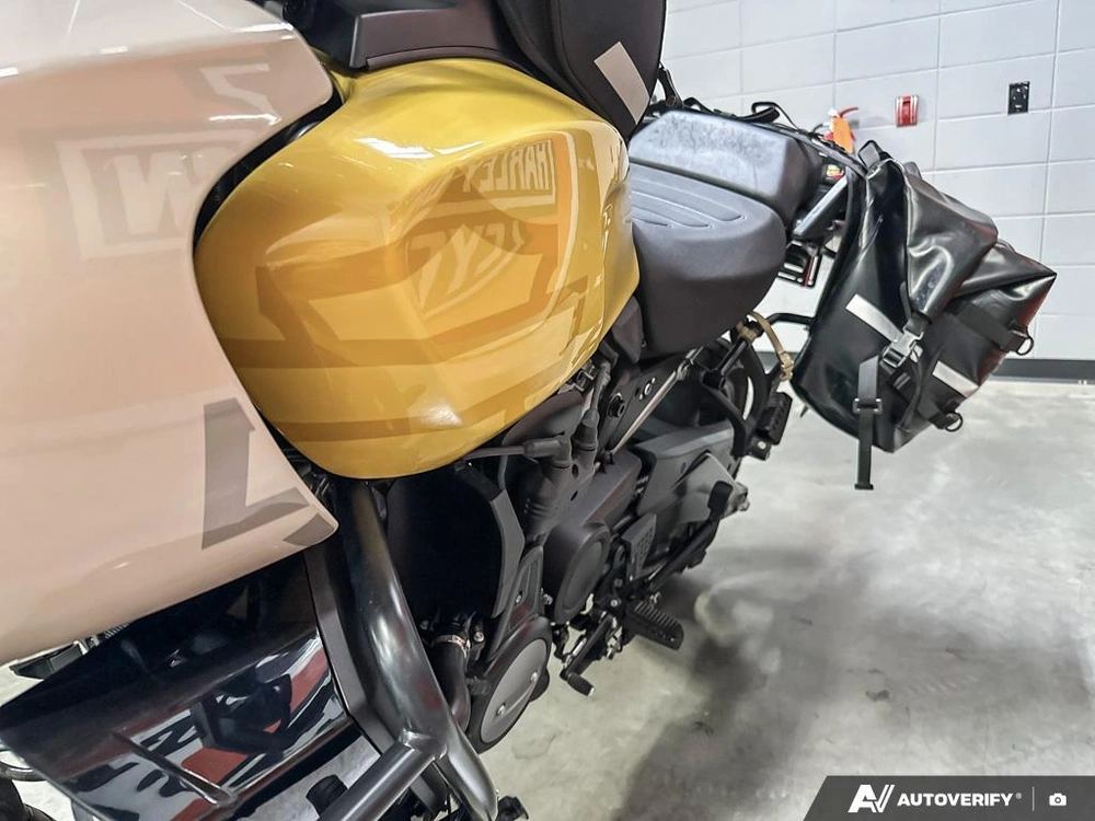 2023 Harley-davidson Pan America Special alt