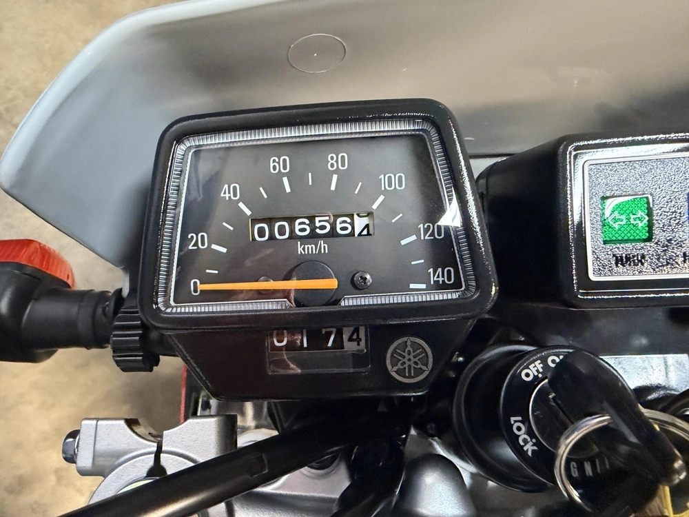 Yamaha Tw200 Tw 200 2024 alt
