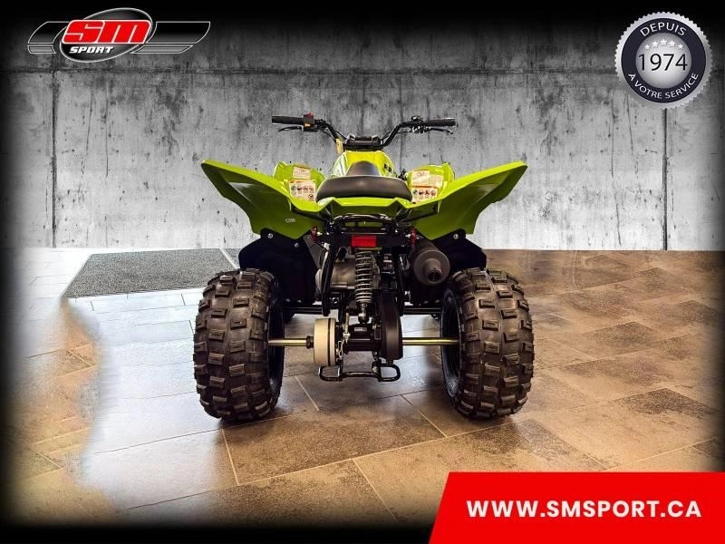 2026 Yamaha Raptor 110 alt