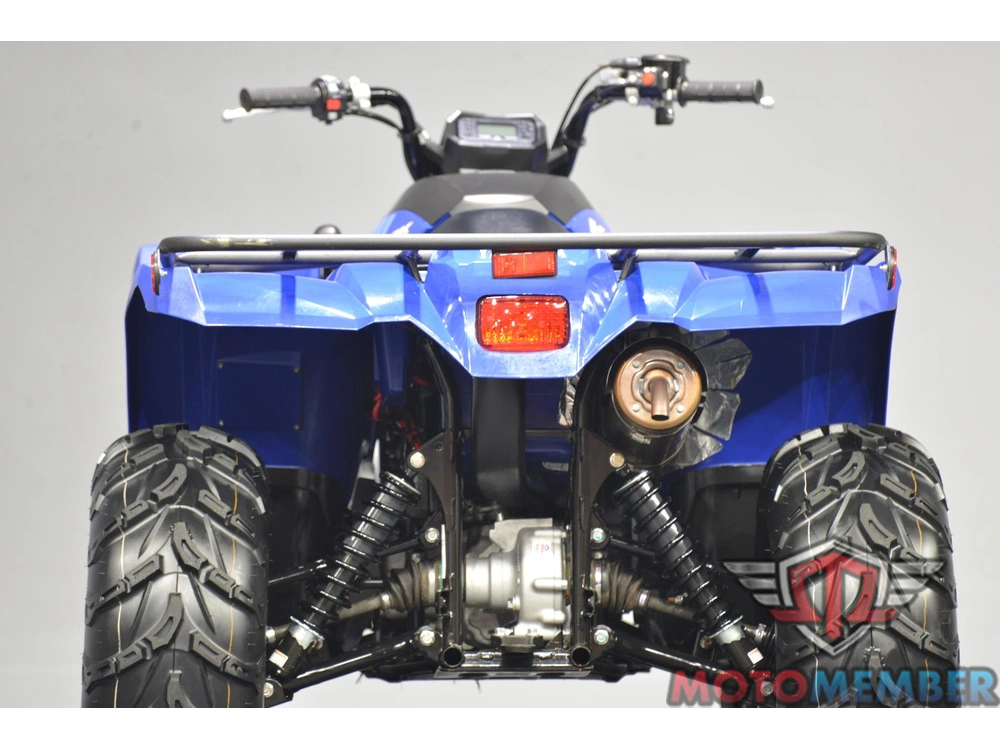 2024 Yamaha Kodiak 450 alt