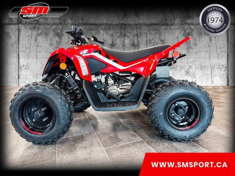 2026 Cfmoto Cforce 110 Classic alt