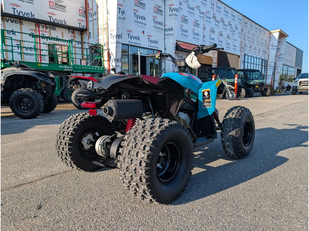 2026 Can-am Renegade 110 Efi alt