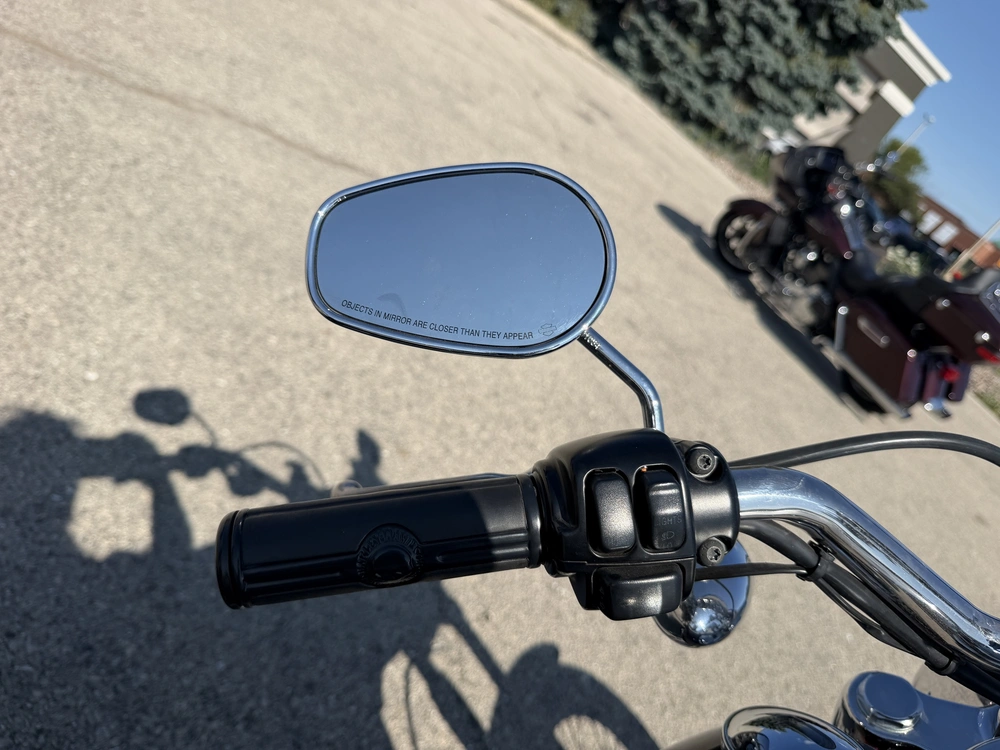 2007 Harley-davidson Fxstd alt