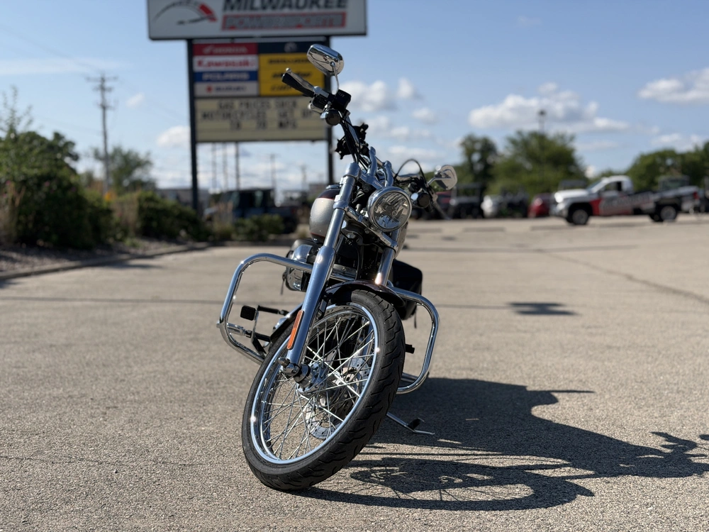2007 Harley-davidson Fxstd alt
