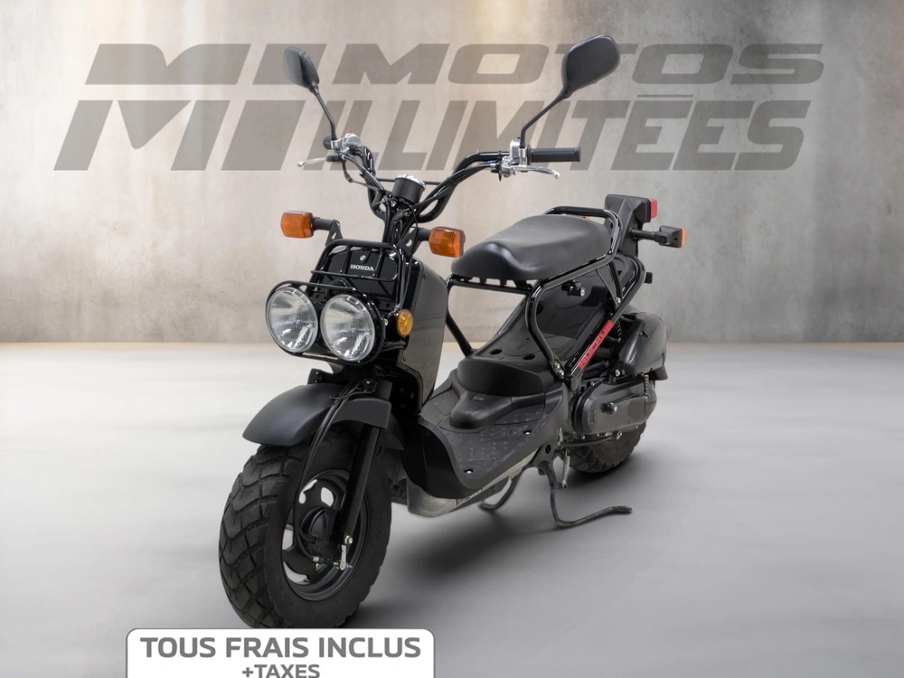 Honda Ruckus 2019 alt