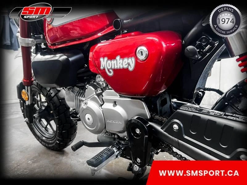 Honda Monkey 2022 alt